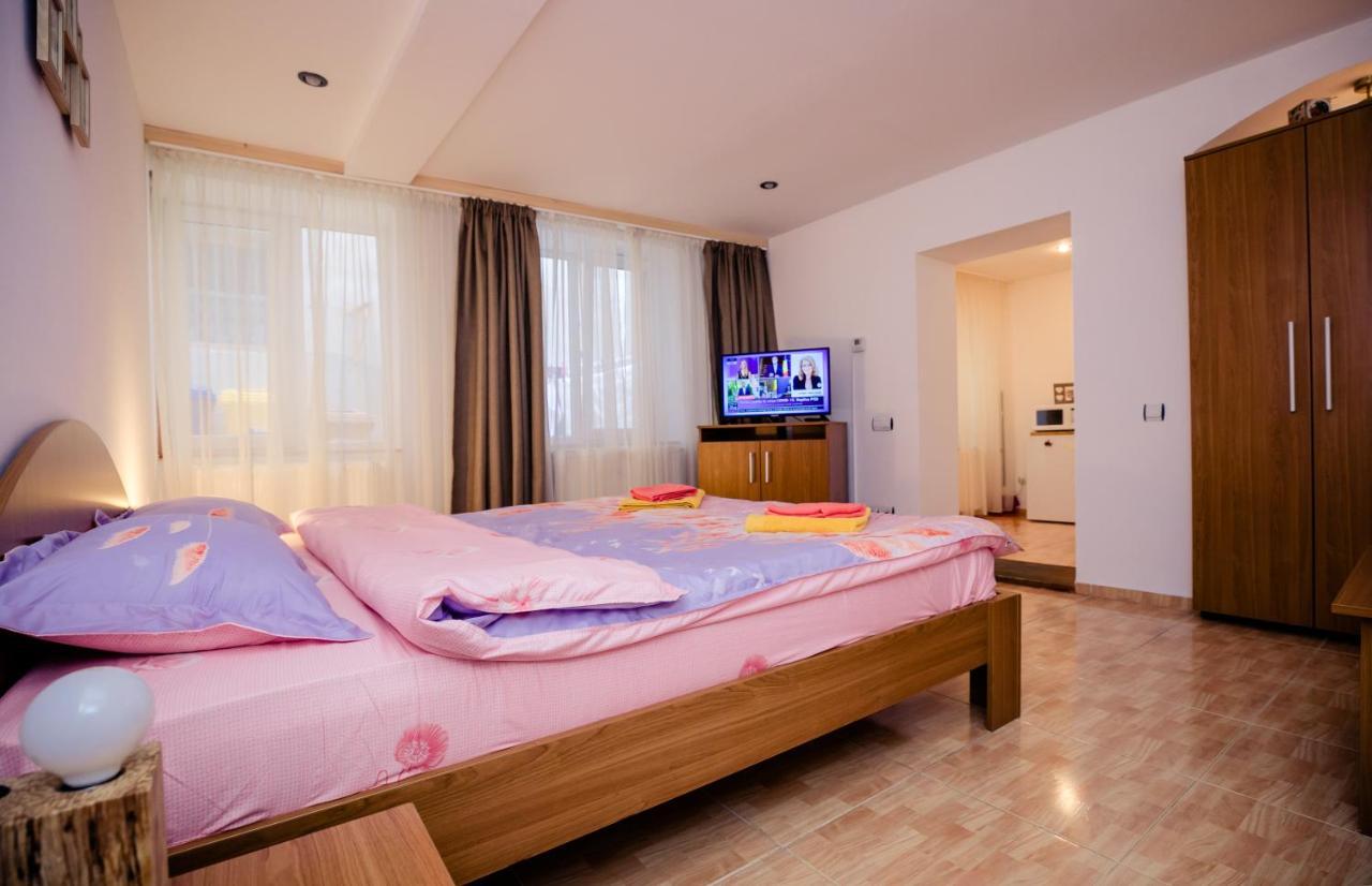 Studio Anisia Apartment Sibiu Exterior foto