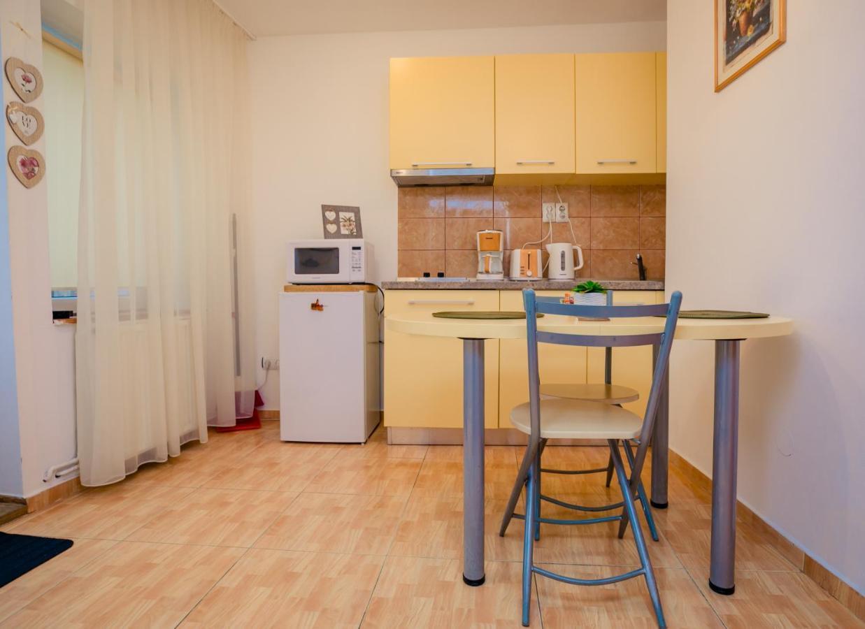 Studio Anisia Apartment Sibiu Exterior foto