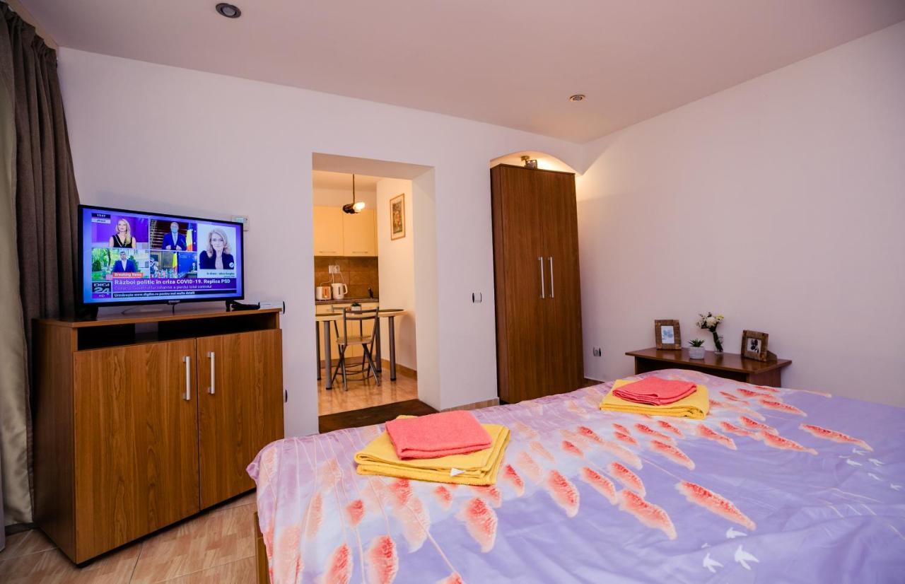 Studio Anisia Apartment Sibiu Exterior foto