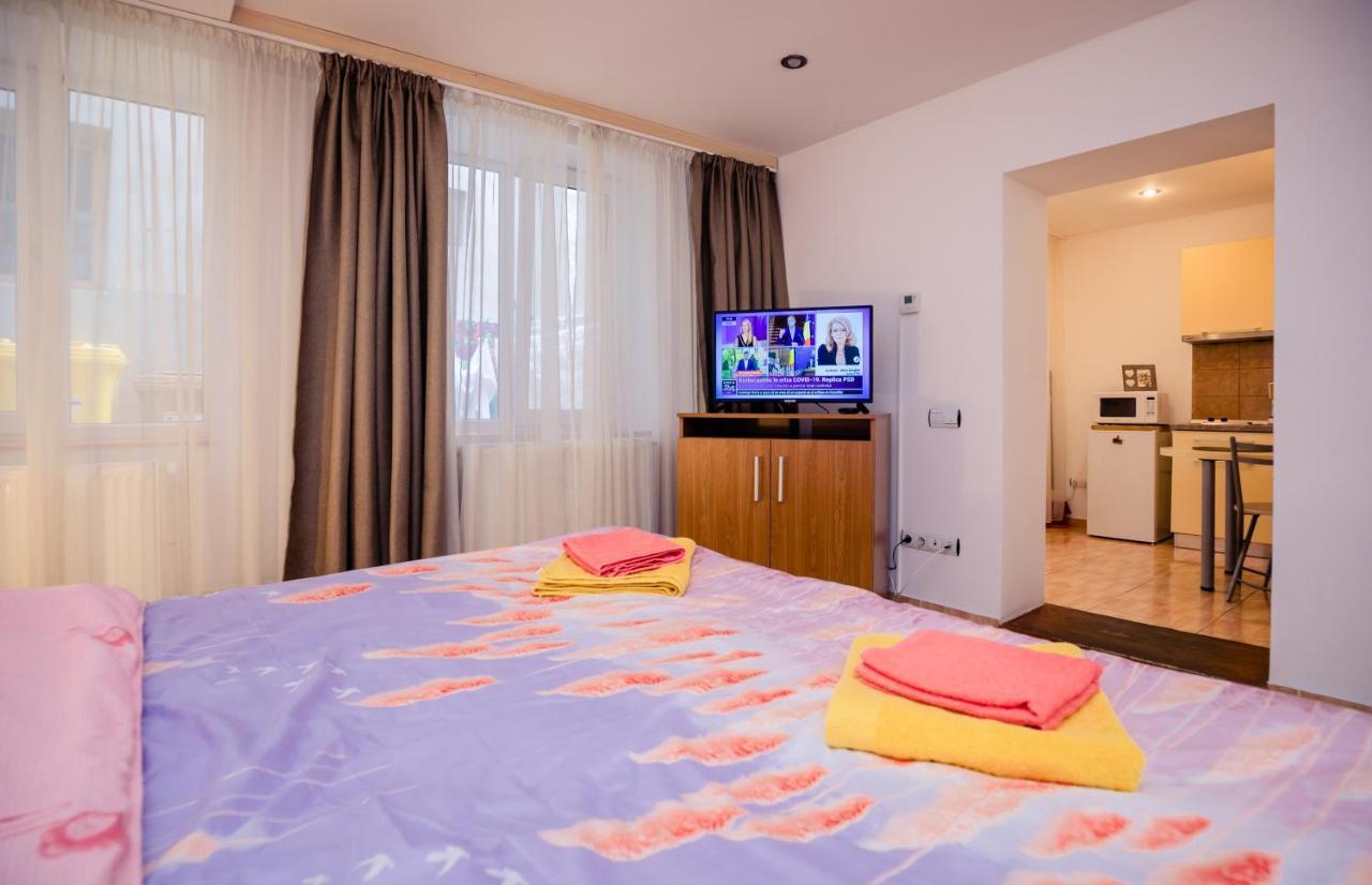 Studio Anisia Apartment Sibiu Exterior foto